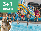 👉 A nyár javában zajlik: Használja ki a 3+1 éjszaka ingyenes ajánlatot, és spóroljon! 🤩